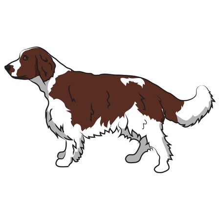 Signmission Welsh Springer Spaniel Dog Decal, Dog Lover Decor Vinyl Sticker D-12-Welsh Springer Spaniel